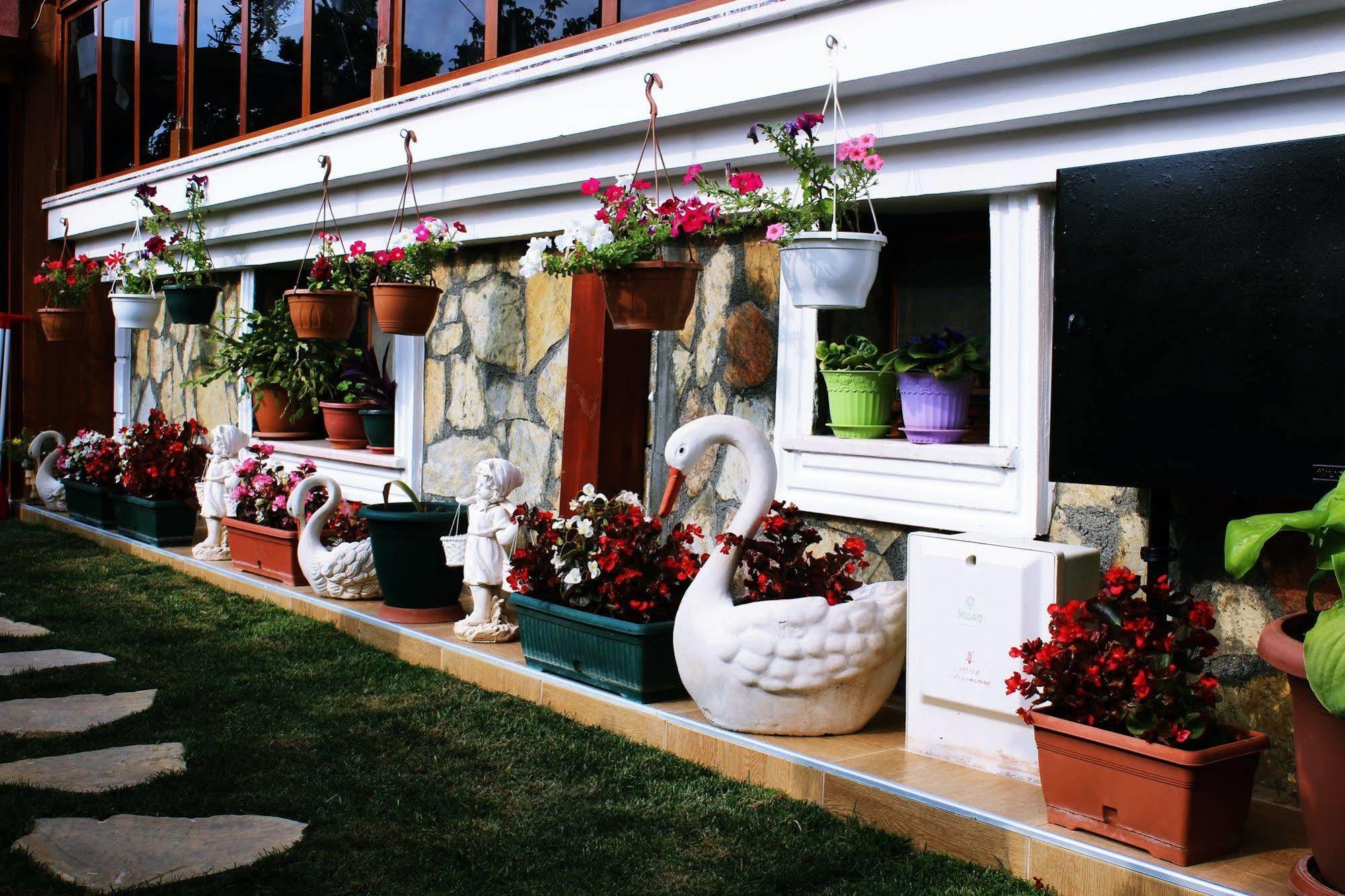Agva Sahil Yildizi Hotel Extérieur photo
